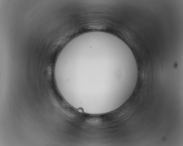 X0000116370551200912231318