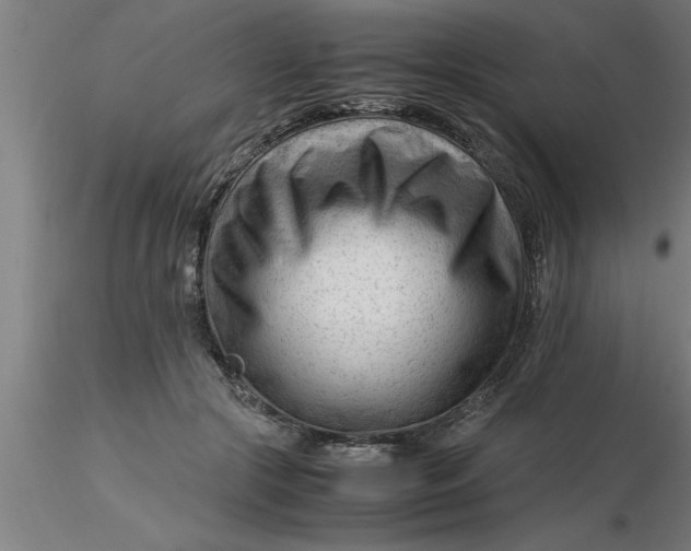 X0000116370553200912231318