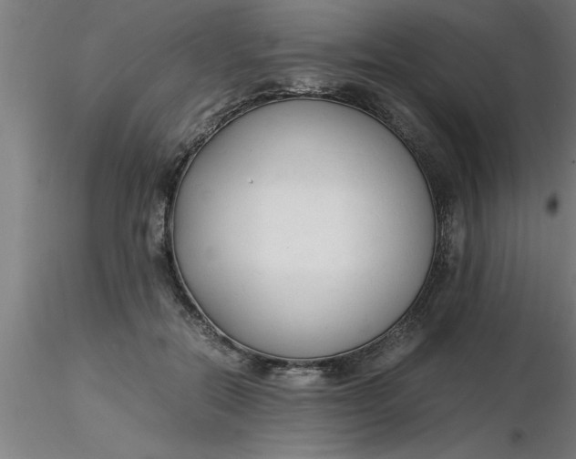 X0000116370554200912231318