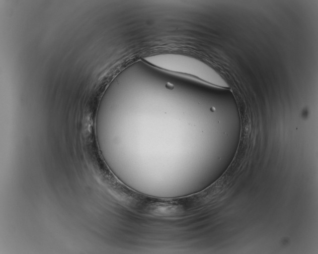 X0000116370555200912231318