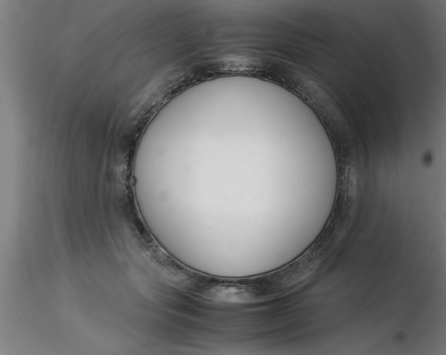 X0000116370557200912231318