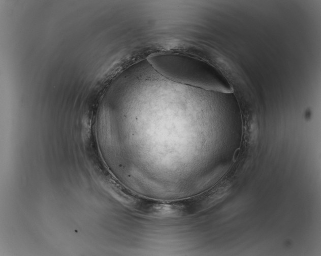 X0000116370558200912231318