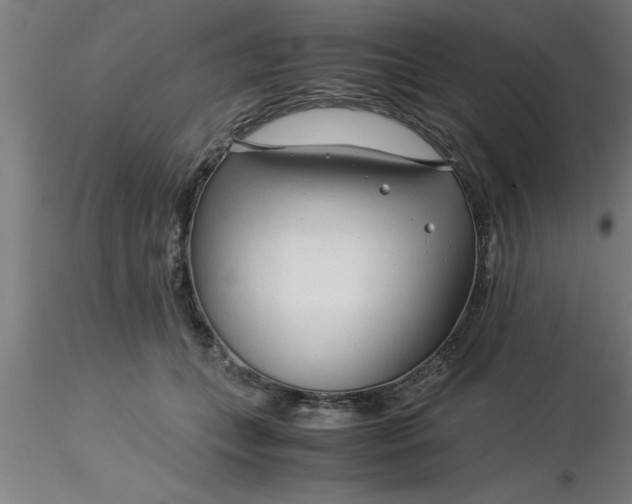 X0000116370559200912231318