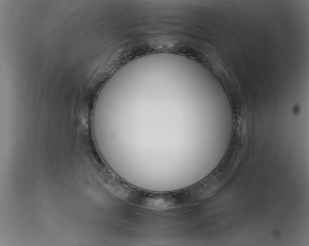 X0000116370561200912231318