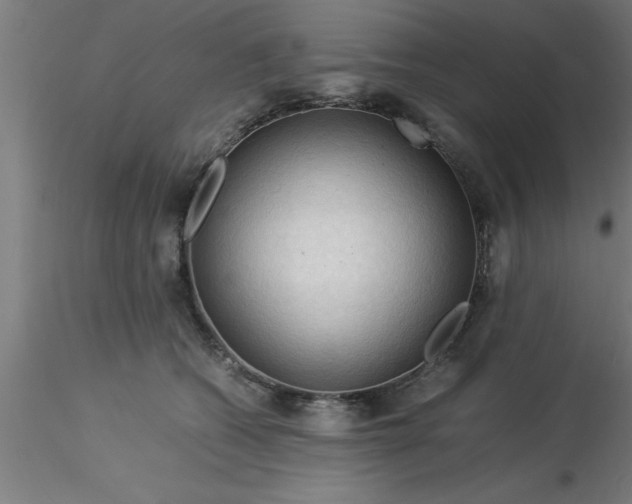 X0000116370562200912231318