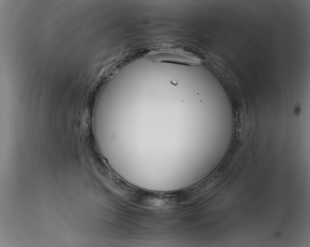 X0000116370563200912231318