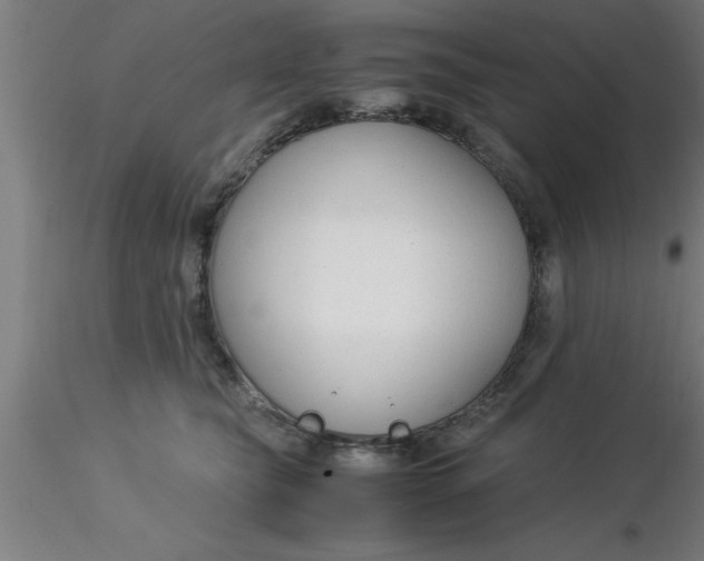 X0000116370565200912231318