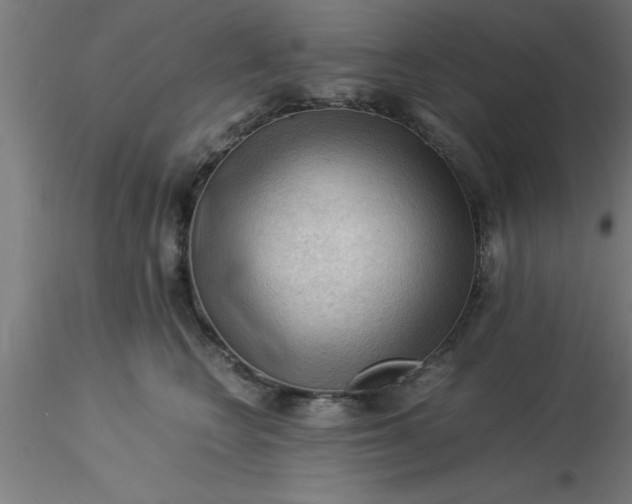 X0000116370566200912231318