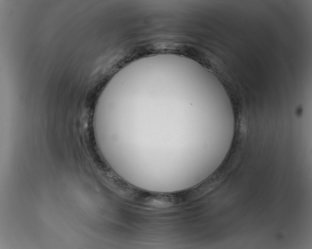 X0000116370567200912231318