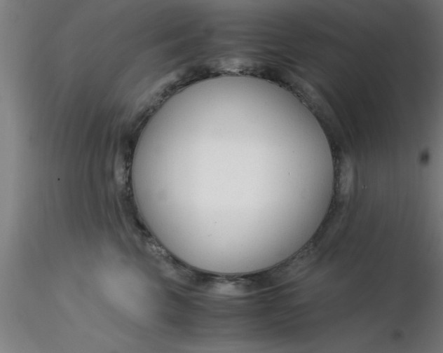 X0000116370569200912231318