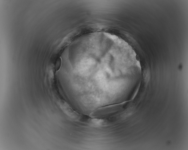 X0000116370570200912231318