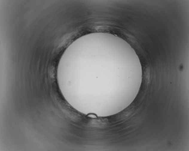 X0000116370571200912231318