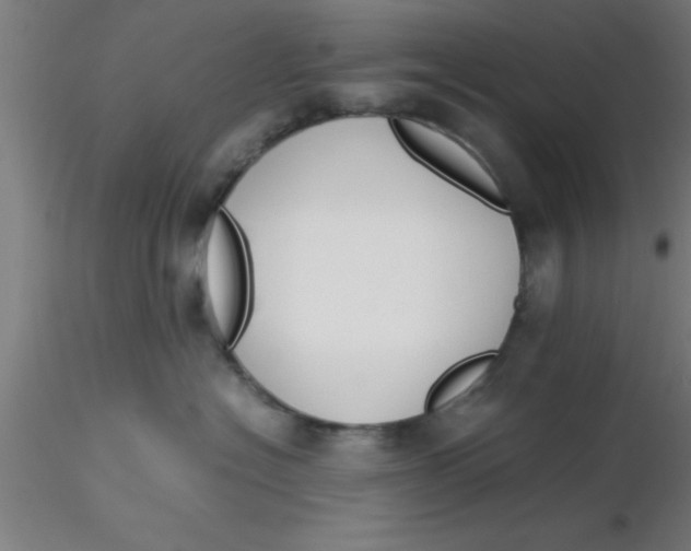 X0000116370574200912231318