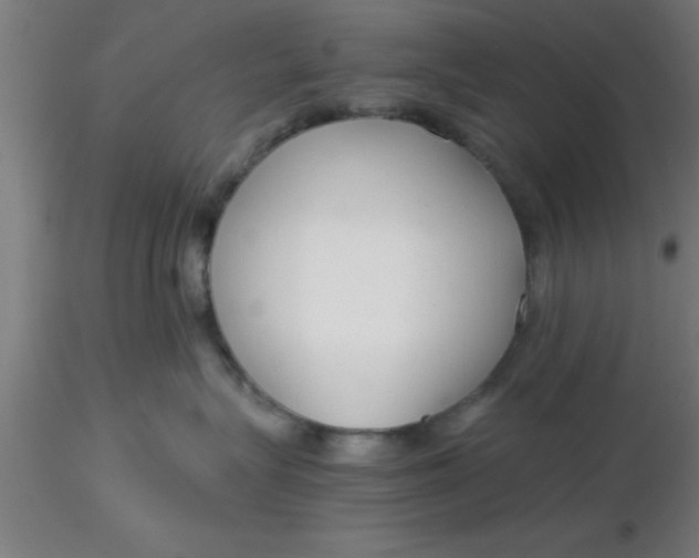 X0000116370575200912231318