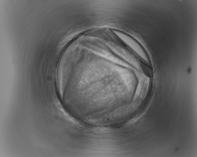 X0000116370577200912231318