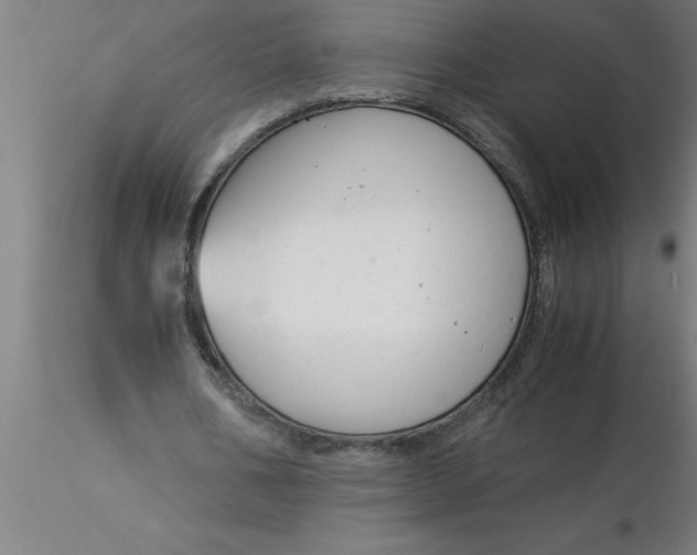 X0000116370578200912231318