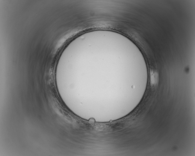 X0000116370579200912231318