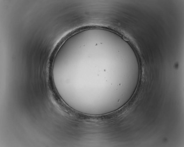 X0000116370580200912231318