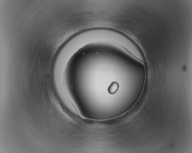 X0000116370581200912231317