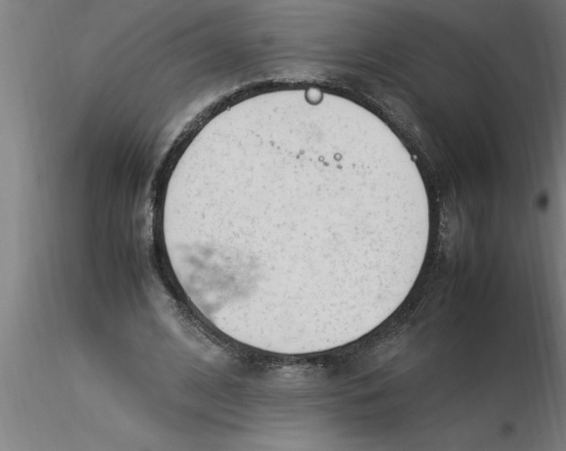 X0000116370584200912231317