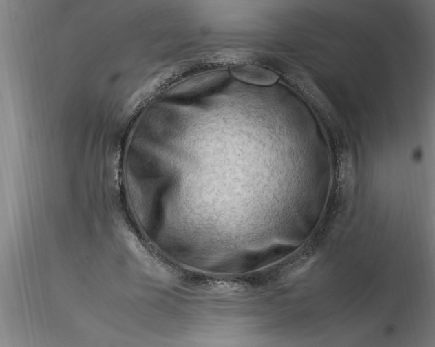 X0000116370585200912231317