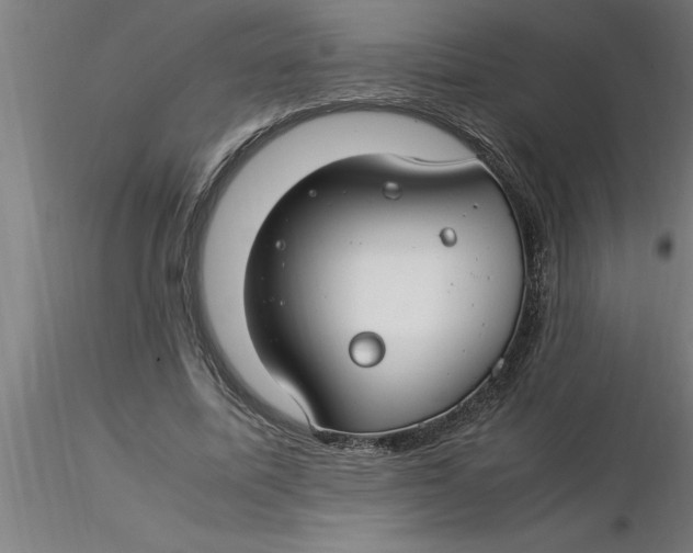 X0000116370587200912231317