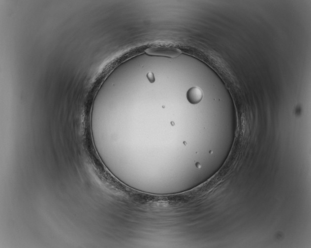 X0000116370588200912231317