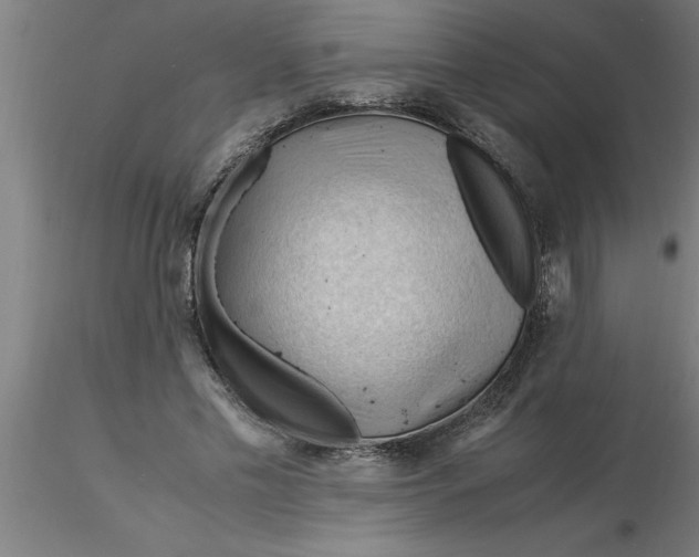 X0000116370589200912231317