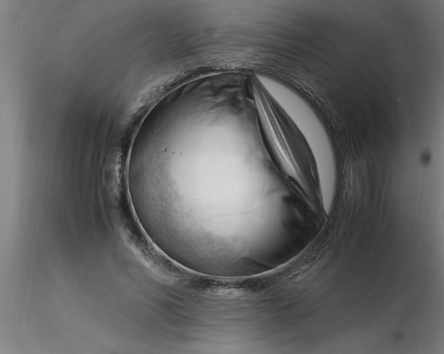 X0000116370590200912231317