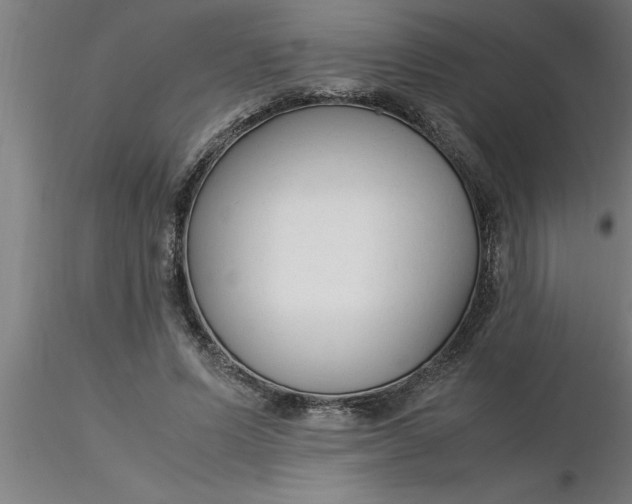 X0000116370591200912231317