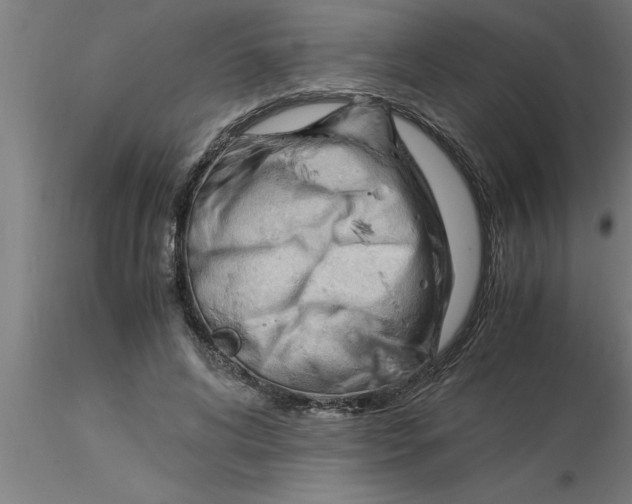 X0000116370592200912231317