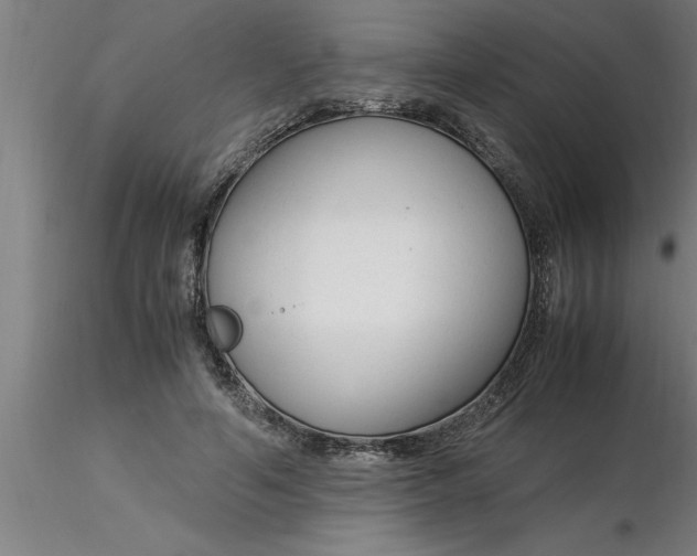 X0000116370594200912231317