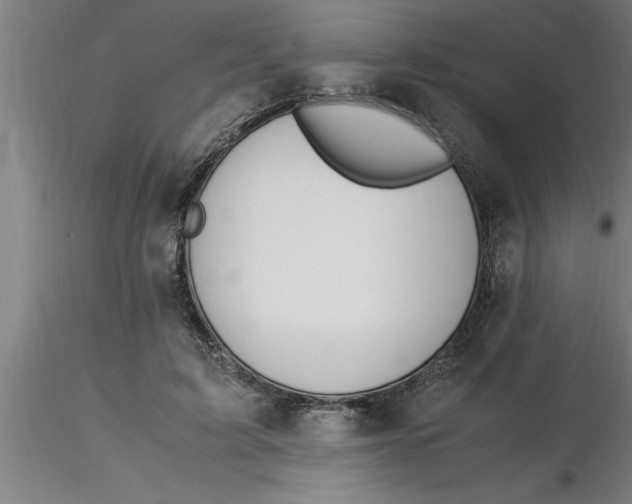 X0000116370595200912231317