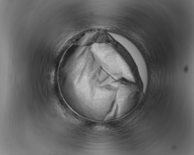 X0000116370596200912231317