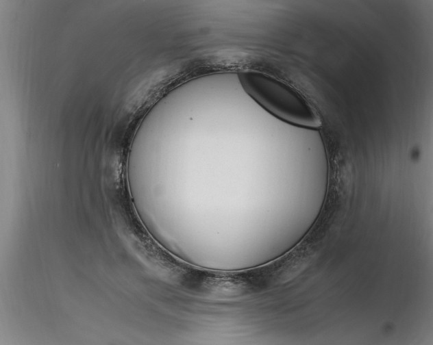 X0000116370597200912231317