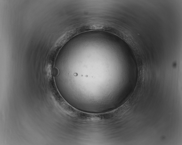 X0000116370598200912231317