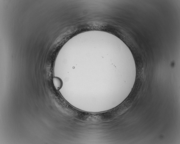 X0000116370599200912231317