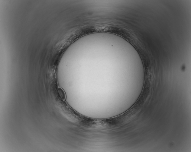 X0000116370601200912231317