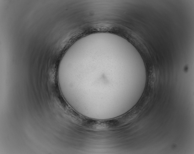 X0000116370604200912231317