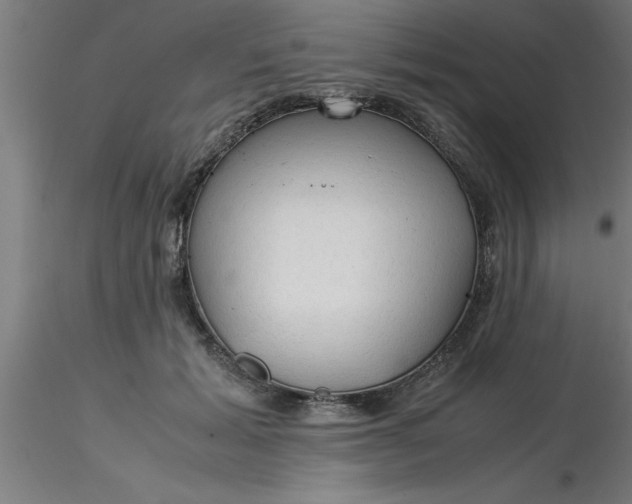 X0000116370605200912231317