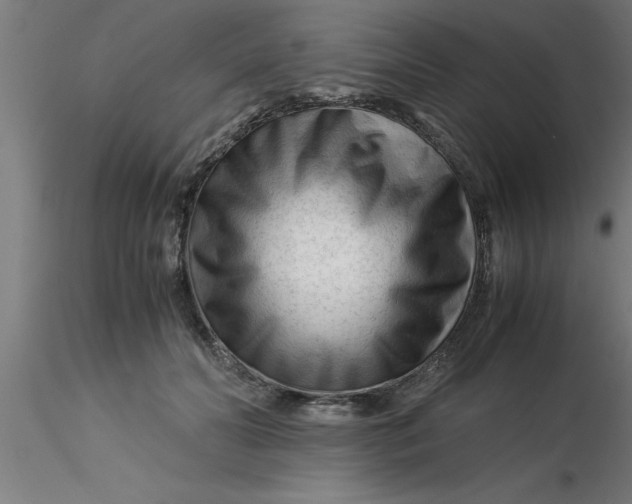 X0000116370606200912231317