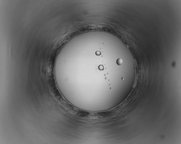 X0000116370608200912231317