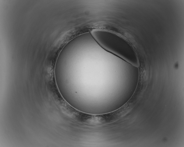 X0000116370609200912231317