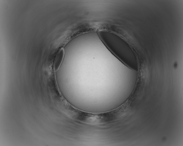 X0000116370611200912231317