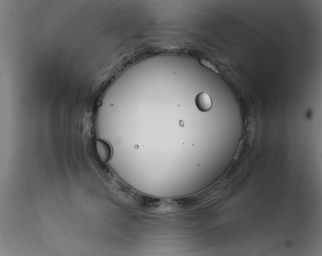 X0000116370612200912231317