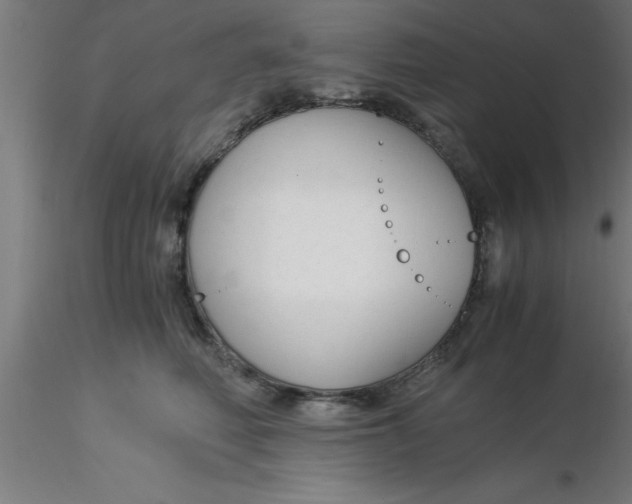 X0000116370614200912231317