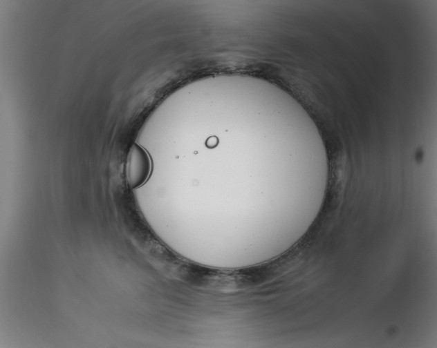 X0000116370615200912231317