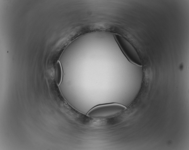 X0000116370617200912231317