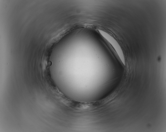 X0000116370618200912231317