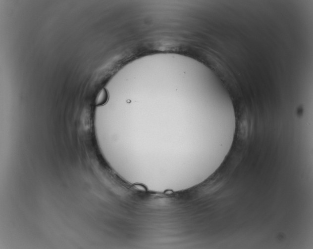 X0000116370620200912231317